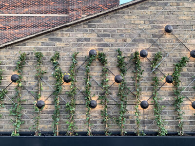 Il design italiano sui tetti di Londra